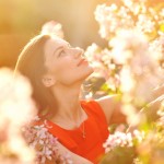 shutterstock_174451685